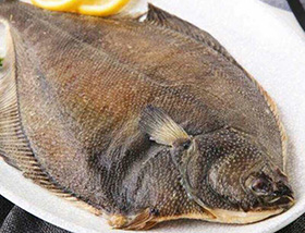 鰈魚